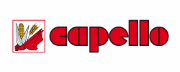 Цепь 03.2013.01 для Capello Quasar